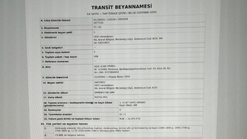 Rusça-Türkçe Transit Beyannamesi Çevirisi