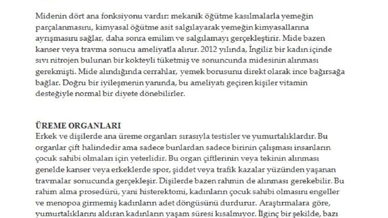 Çeviri örnekleri