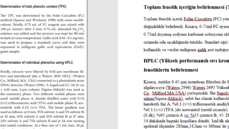 Hızlı & Düzenli Çeviri