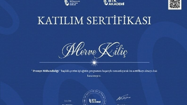 Prompt Mühendisliği