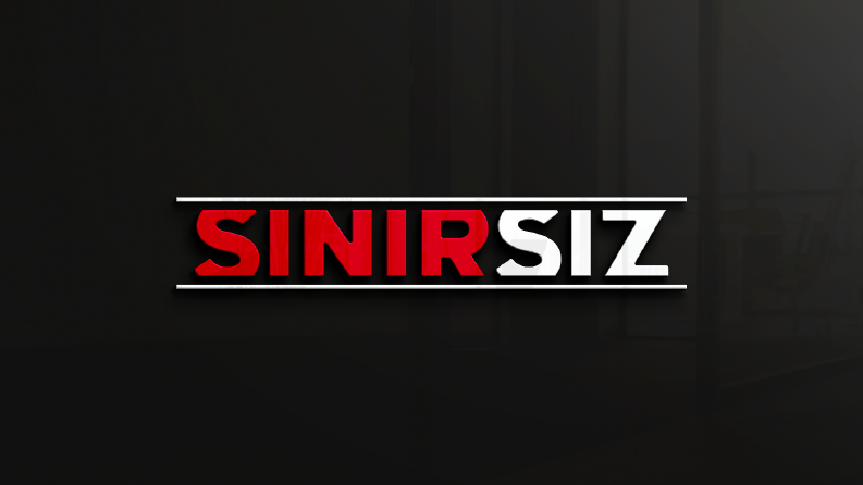 Profesyonel ve Özgün Logo Tasarımı 
