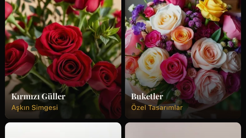 Ben işletmenize uygun E Ticaret kurulumunu Maksimum 3  iş günü içerisinde teslim ederim 