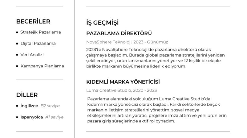 Fotoğraflı Temel CV Örneği