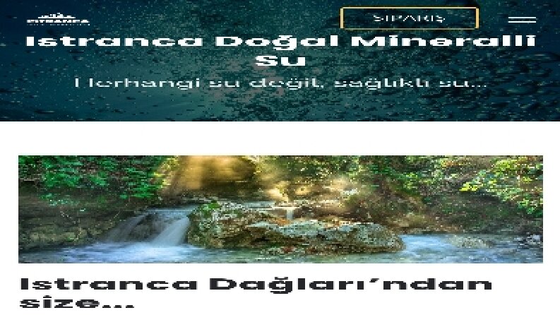 Web sitesi düzenleme