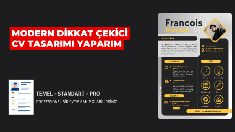 Profesyonel CV tasarım hizmeti