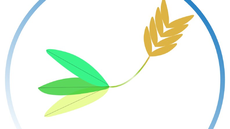 Esenler Gıda Logo Çalışması