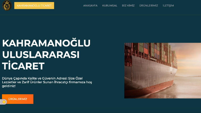 Web site çalışması
