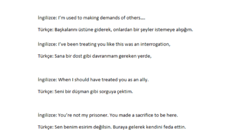 Yapay Zekâ Değil, Gerçek Bir Çevirmenin Dokunuşu