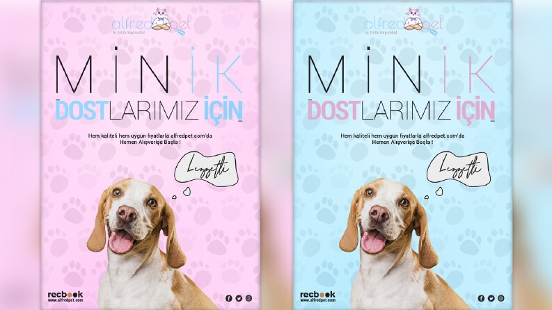 Alfred Pet Banner Tasarımları