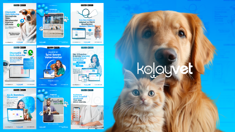 Kolayvet Sosyal Medya Tasarımları