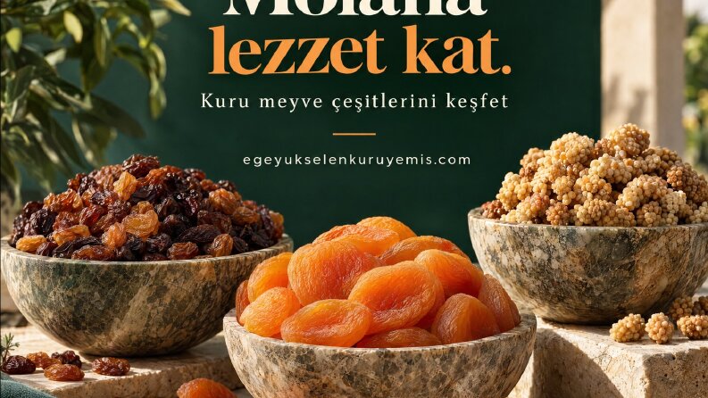 Yükselen | Kuru Meyve Reklam Tasarımı