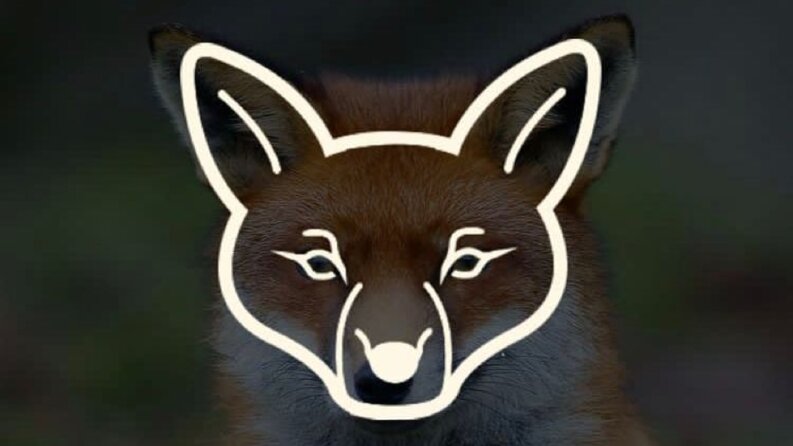 Foxox - Örnek Şirket Logo Tasarımı