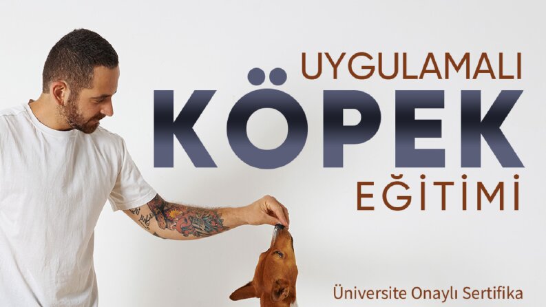 Sosyal Medya Reklam ve Post Tasarımları