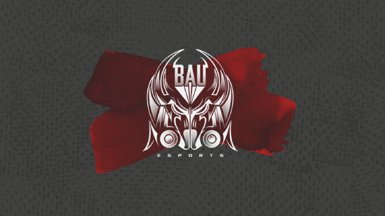 bau_esports