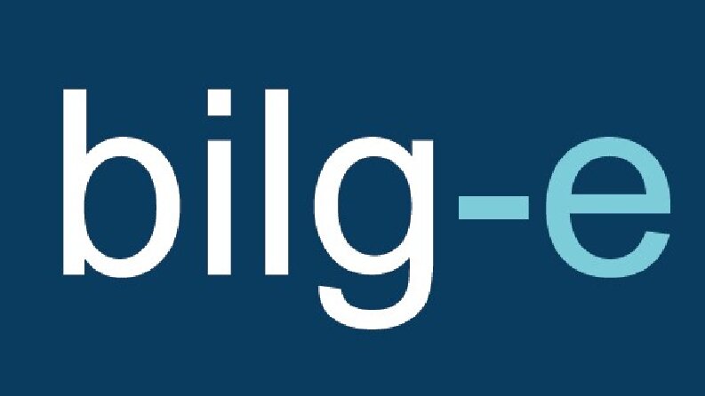 Diğer İnternet Reklamcılığı