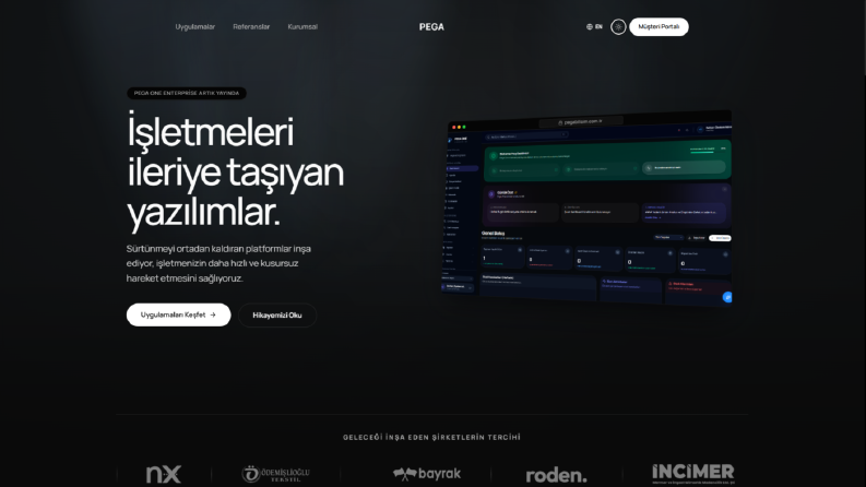 Pega Bilişim Kurumsal Web Sitesi