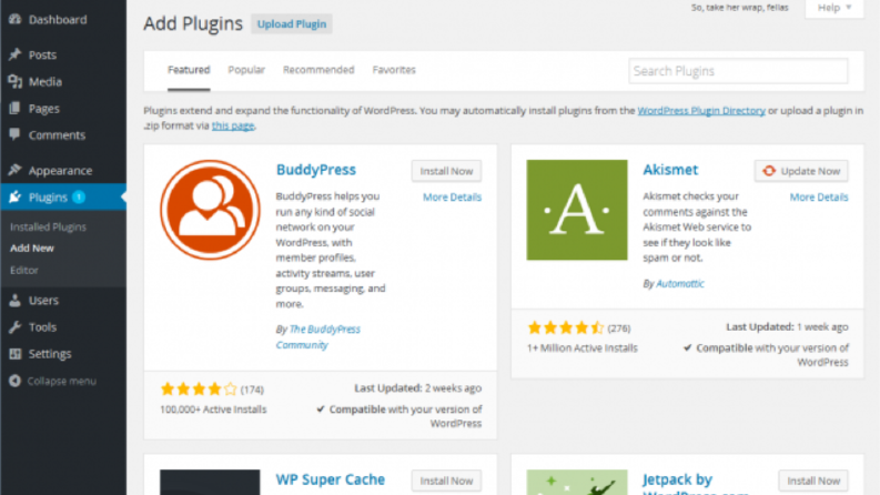 WordPress