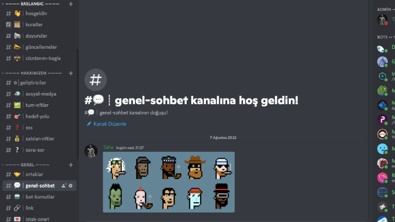 Örnek NFT Sunucusu
