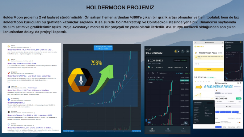 HolderMoon Projesi – Blockchain Geliştirici (Developer)