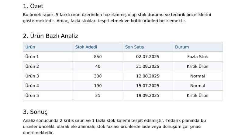 Stok Analizi Raporu