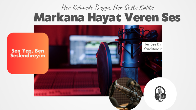 PROFESYONEL SESLENDİRME