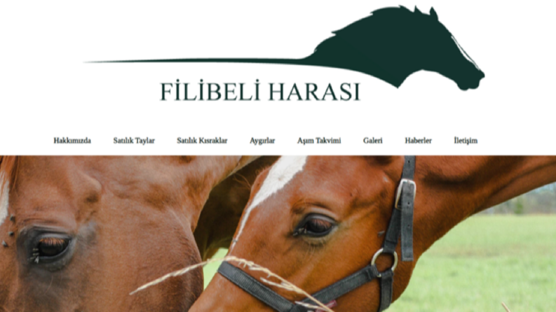 Filibeli Harası -Web Tasarımı