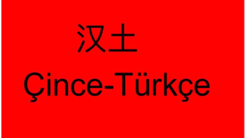 Çince-Türkçe
