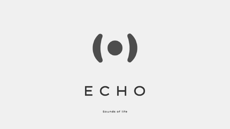 ECHO Ses Sistemleri Logo Tasarımı