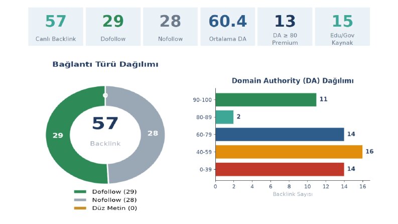 Yüksek Otoriteli Backlink Raporu 2026 v4 - Part 2