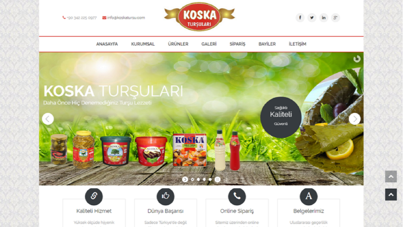 Web Tasarım