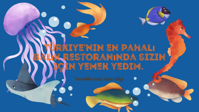 satışlar ve çalışmalarım