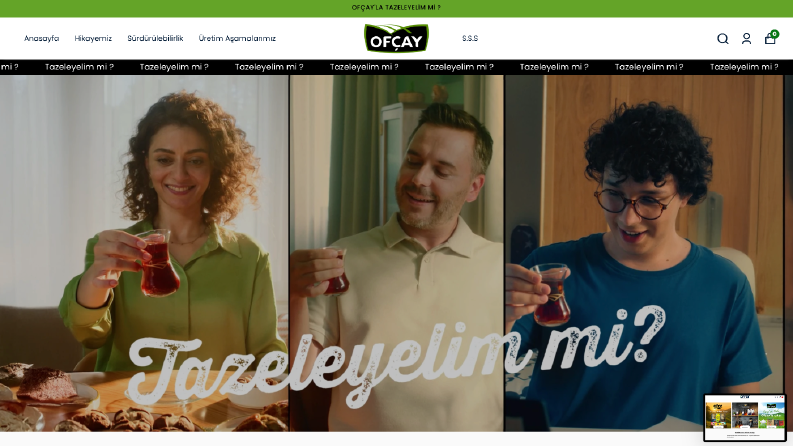 Web Site Tasarımı
