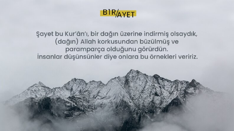 Sosyal Medya Tasarımı
