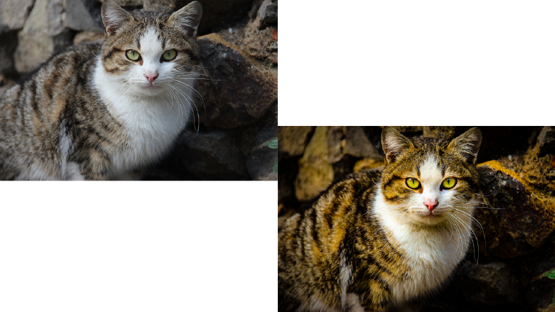İş örneğim