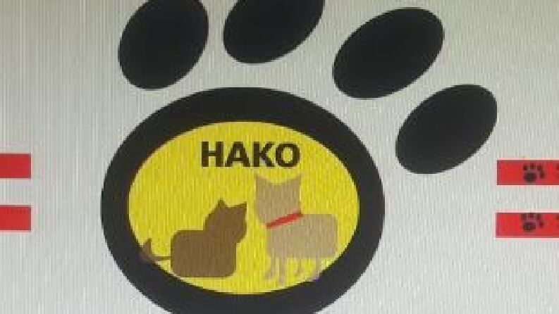 örnek olarak hazırladığım logo tasarımı