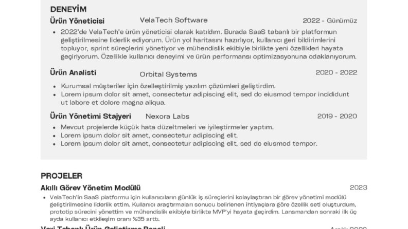 Fotoğrafsız Temel CV Örneği