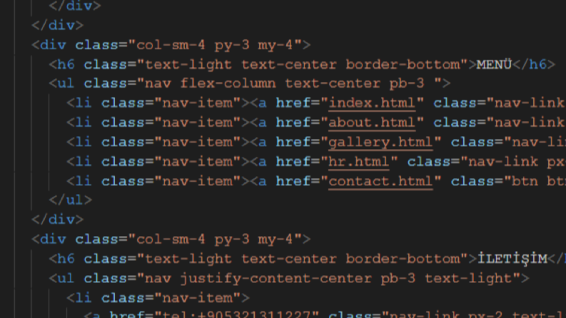 Web Site Tasarımı