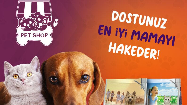 Petshop Tasarımları