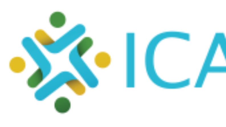 İcadet Web Sitesi Yönetimi