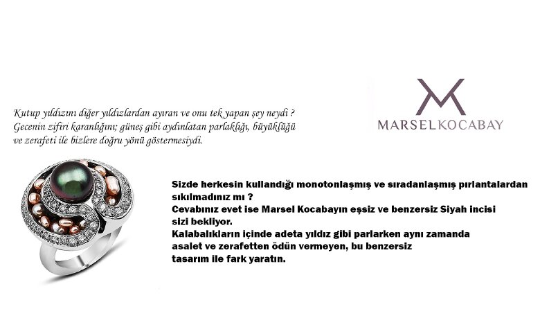 Web Sitesi İçeriği
