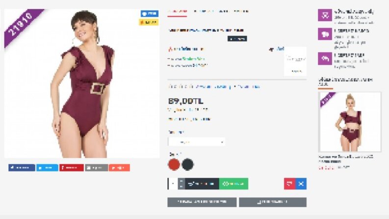 Çalışmış Olduğum Bir Firmanın Girişleri
