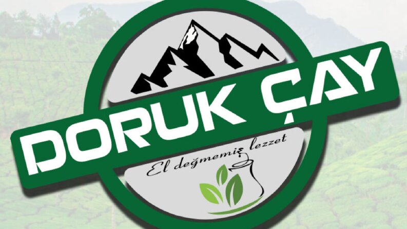 Sizin için akılda kalıcı vektörel logo çalışması yaparım