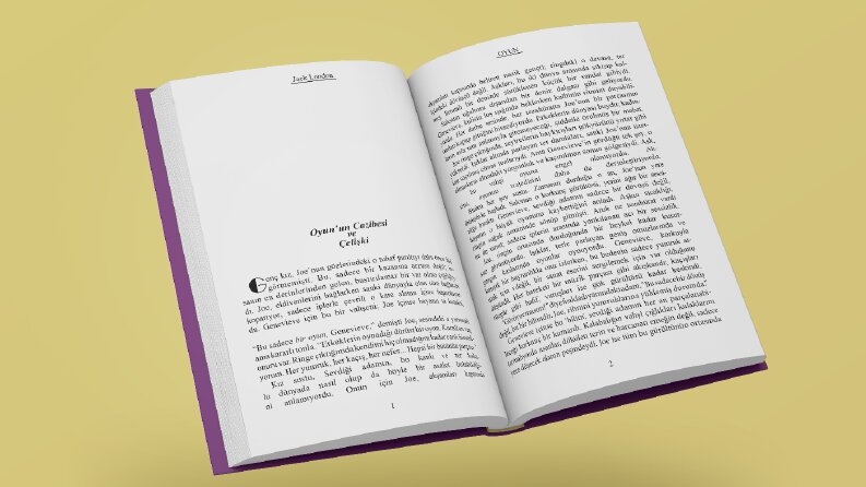 Kitap Dizgisi