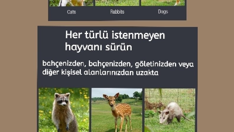 Fotoğraf düzenleme ve çeviri 