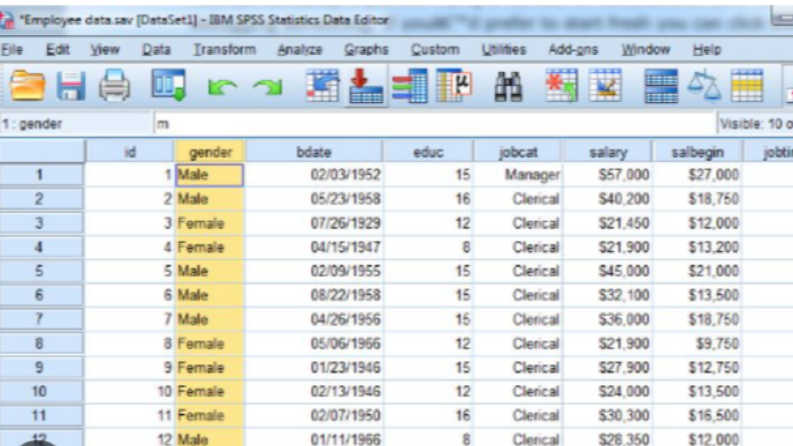 SPSS Veri Analizi 