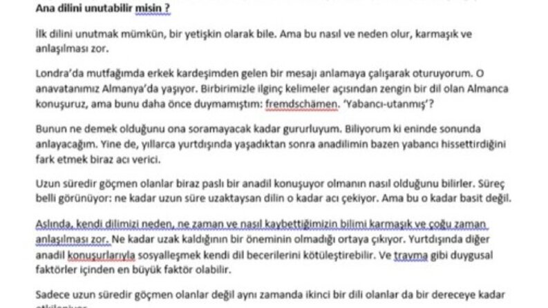 İş örneğim