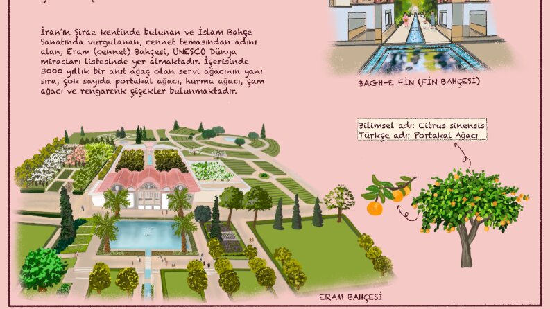 TARİHTE İLK BAHÇELER-Kitap tasarımı