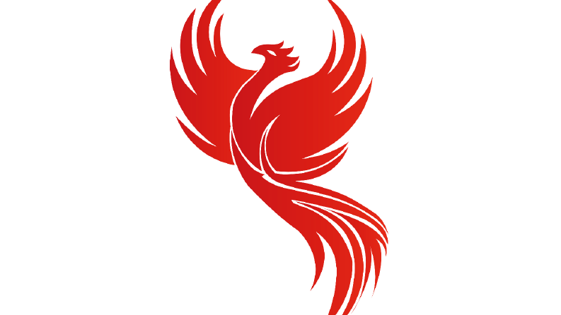 Logo Tasarım Portfolyom