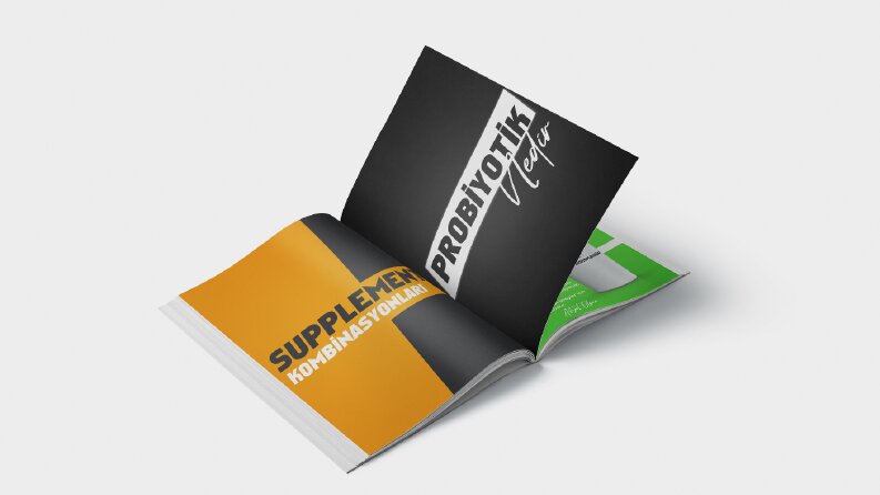 E-Book
