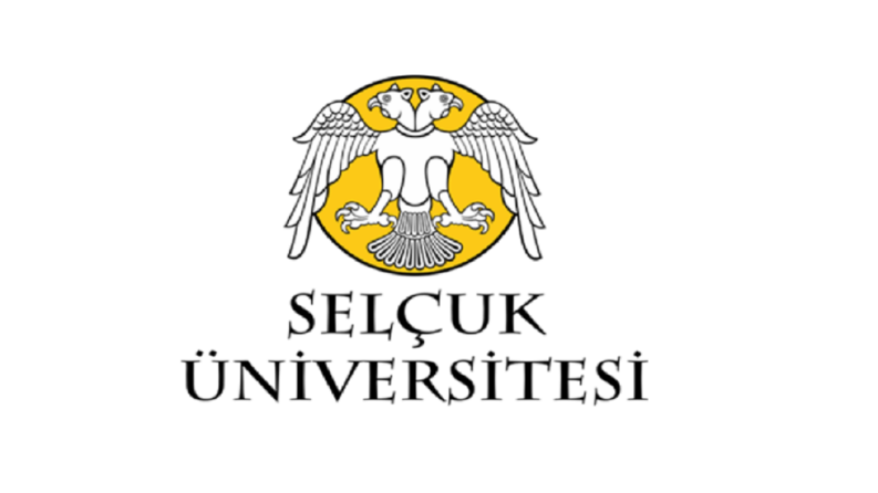 Selçuk Üniversitesi Tez Düzenleme